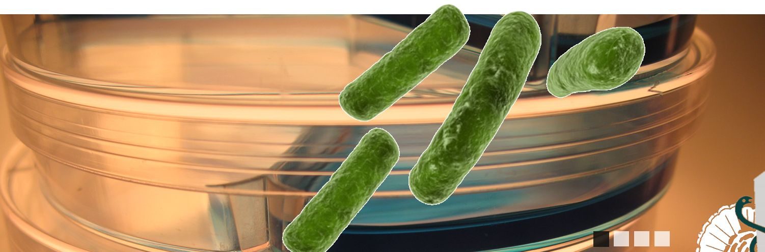 Bakteriologia i Mykologia – zdjęcie 1