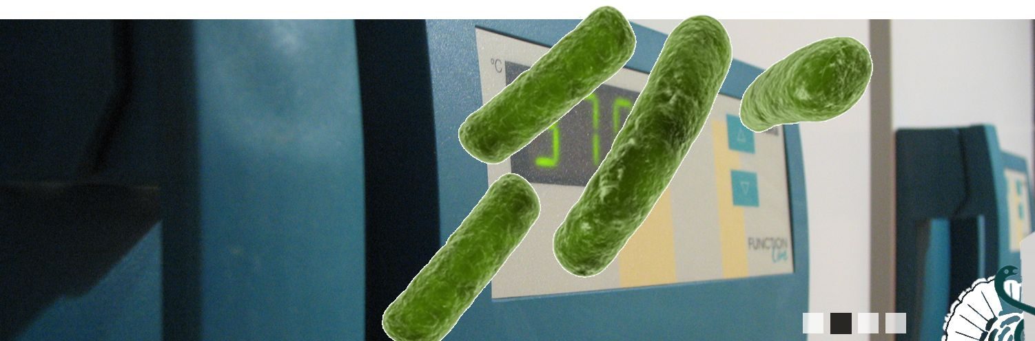 Bakteriologia i Mykologia – zdjęcie 2