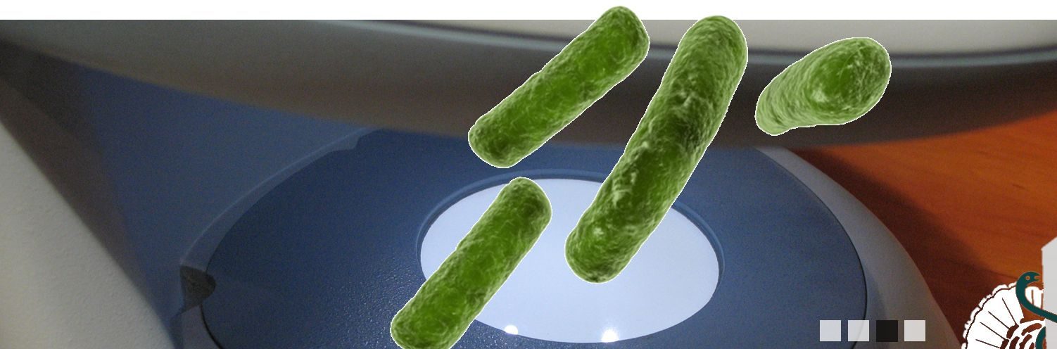 Bakteriologia i Mykologia – zdjęcie 3
