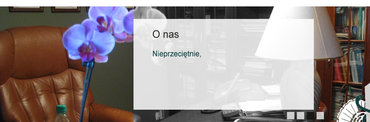 O nas – zdjęcie 3
